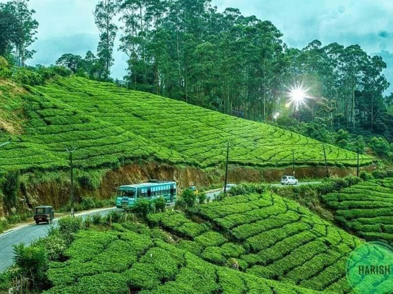 Munnar Tent Hills Resort Devikolam Extérieur photo